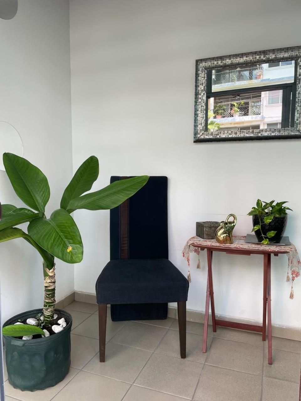 Hostal El Prado مدينة باناما المظهر الخارجي الصورة